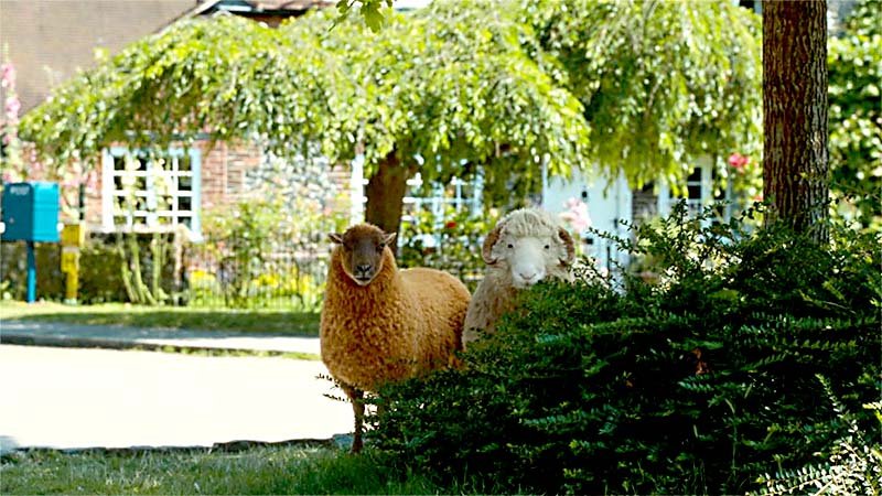 Still of Lily (voiced by Julia Louis-Dreyfus and Mopple (voiced by Chris O’Dowd) in ‘The Sheep Detectives’ (2026)